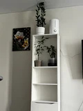 Фото из отзыва покупателя