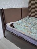 Фото из отзыва покупателя